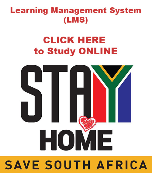 Stay at Home and Study online